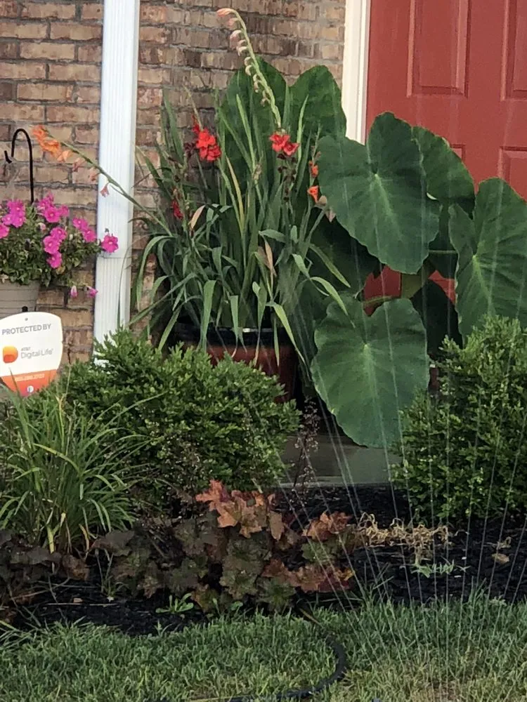 Reliable landscaping services experts serving Indianapolis, IN - 5 Lynx Property Management