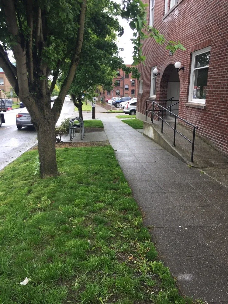 Professional yard maintenance for outdoor upgrades in Seattle, WA by 5 Men & A Mower