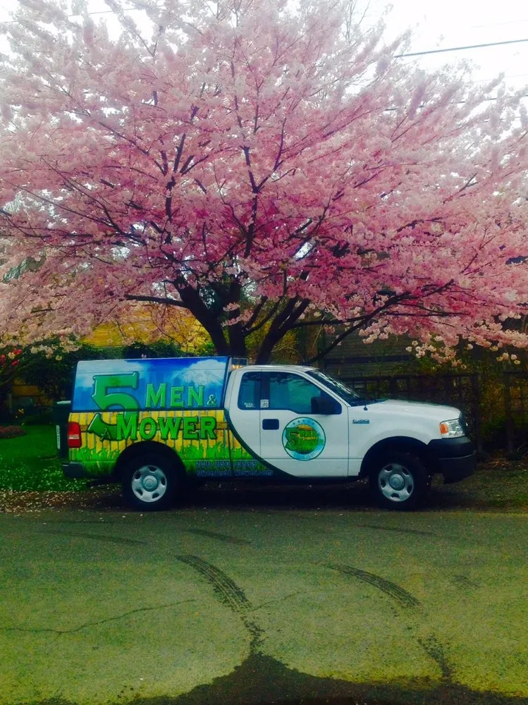 Trusted yard maintenance experts serving Seattle, WA - 5 Men & A Mower