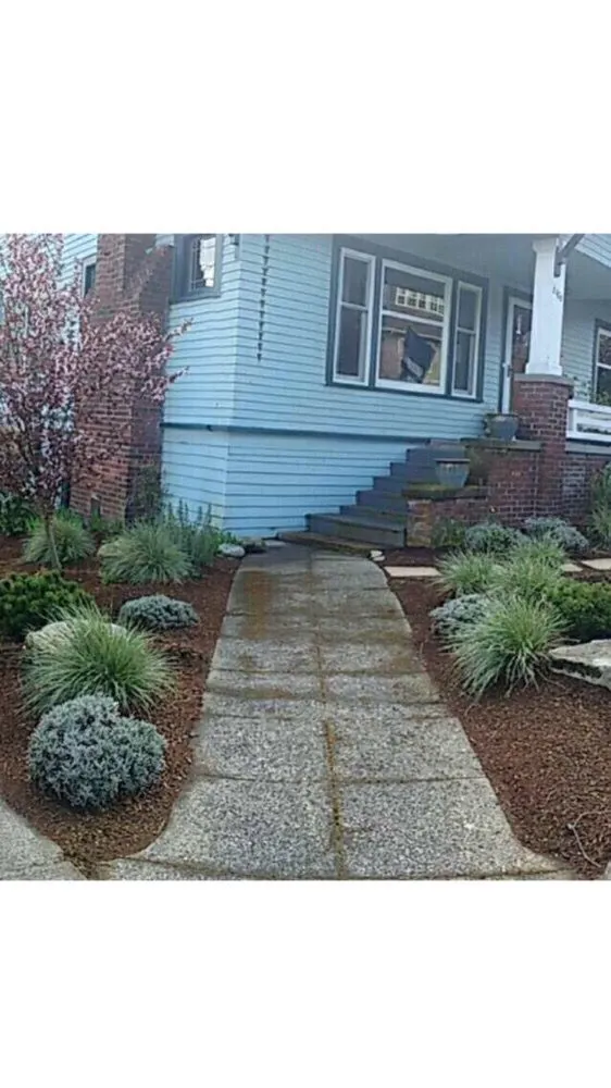 Top-rated lawn care service near you across Seattle, WA - 5 Men & A Mower