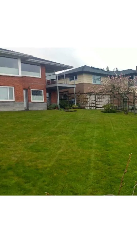 Affordable lawn mowing service in Seattle, WA by 5 Men & A Mower