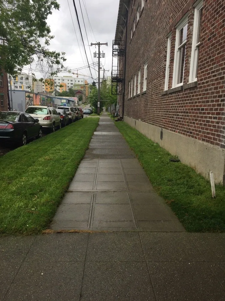 Professional garden landscaping experts serving Seattle, WA - 5 Men & A Mower