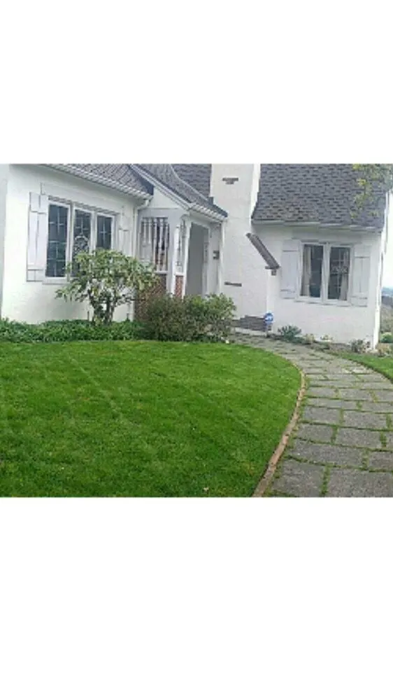 Trusted yard maintenance in Seattle, WA by 5 Men & A Mower