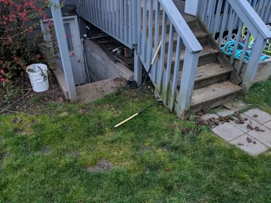 5 Men & A Mower Logo