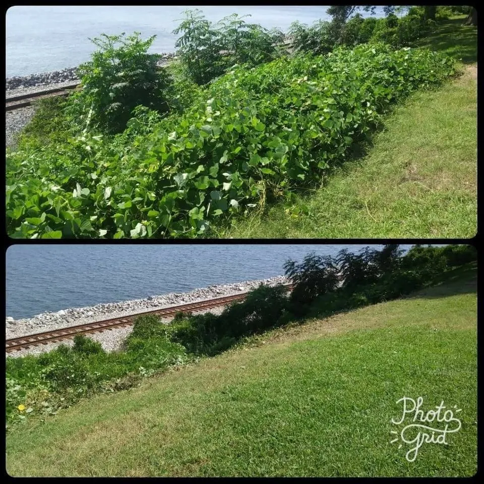 Trusted residential landscaping in Pensacola, FL - 5 Pages' Lawncare