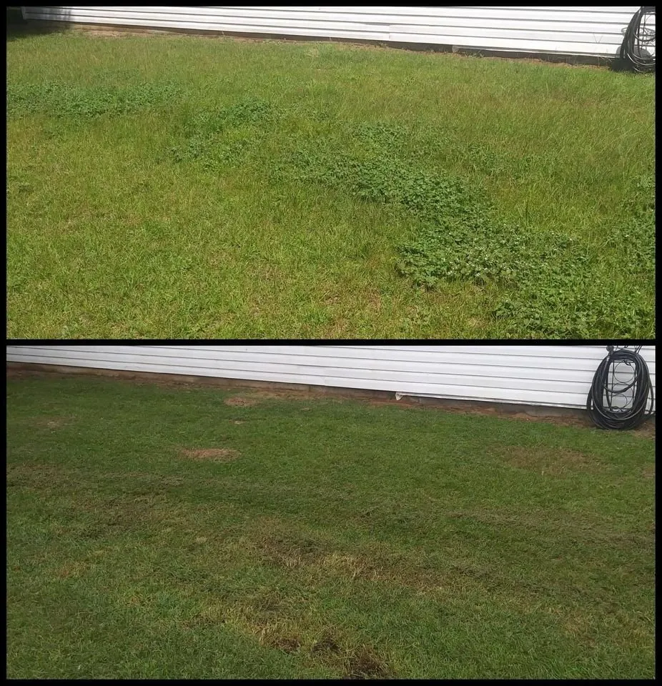 Custom landscaping services in Pensacola, FL by 5 Pages' Lawncare