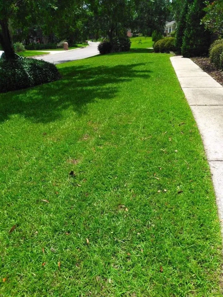 Reliable yard maintenance in Pensacola, FL by 5 Pages' Lawncare