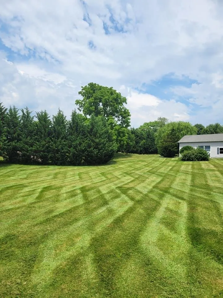 Trusted landscape design in Marshfield, VT by 5 Seasons Landworks