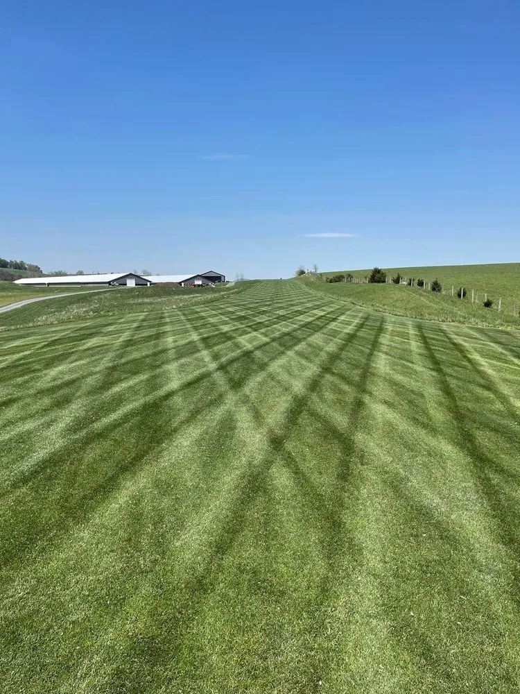 Affordable lawn mowing service in Marshfield, VT by 5 Seasons Landworks