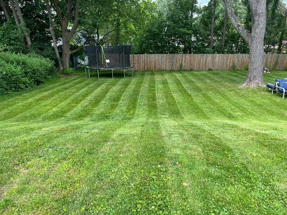 Top-rated lawn care service in Marshfield, VT - 5 Seasons Landworks