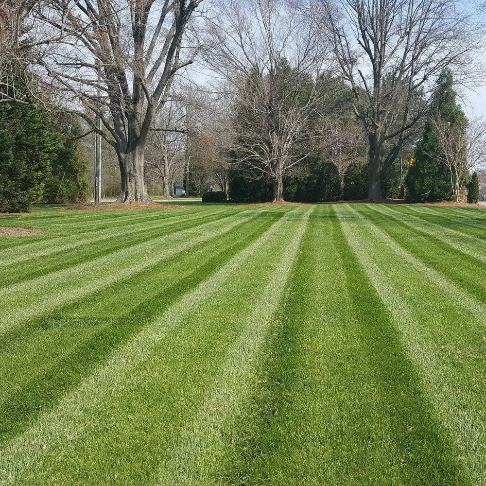 Trusted lawn care service in Marshfield, VT by 5 Seasons Landworks