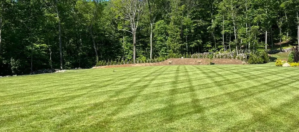 Trusted landscaping services experts serving Marshfield, VT - 5 Seasons Landworks
