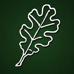 Reliable landscape design near you in Winterset, IA by 5 Sons Naturescapes