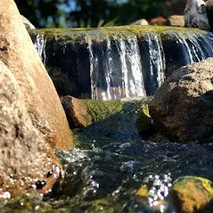 Custom residential landscaping experts serving Winterset, IA - 5 Sons Naturescapes