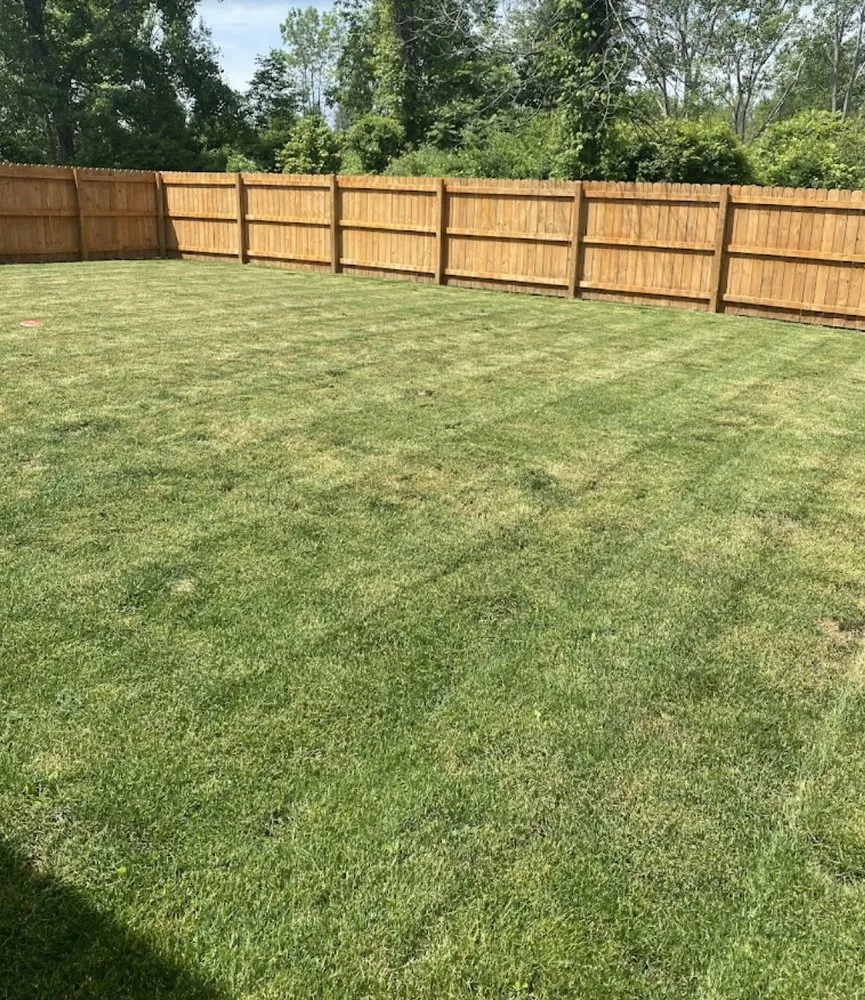 Expert yard maintenance experts serving Williamson, NY - 5 Star Construction