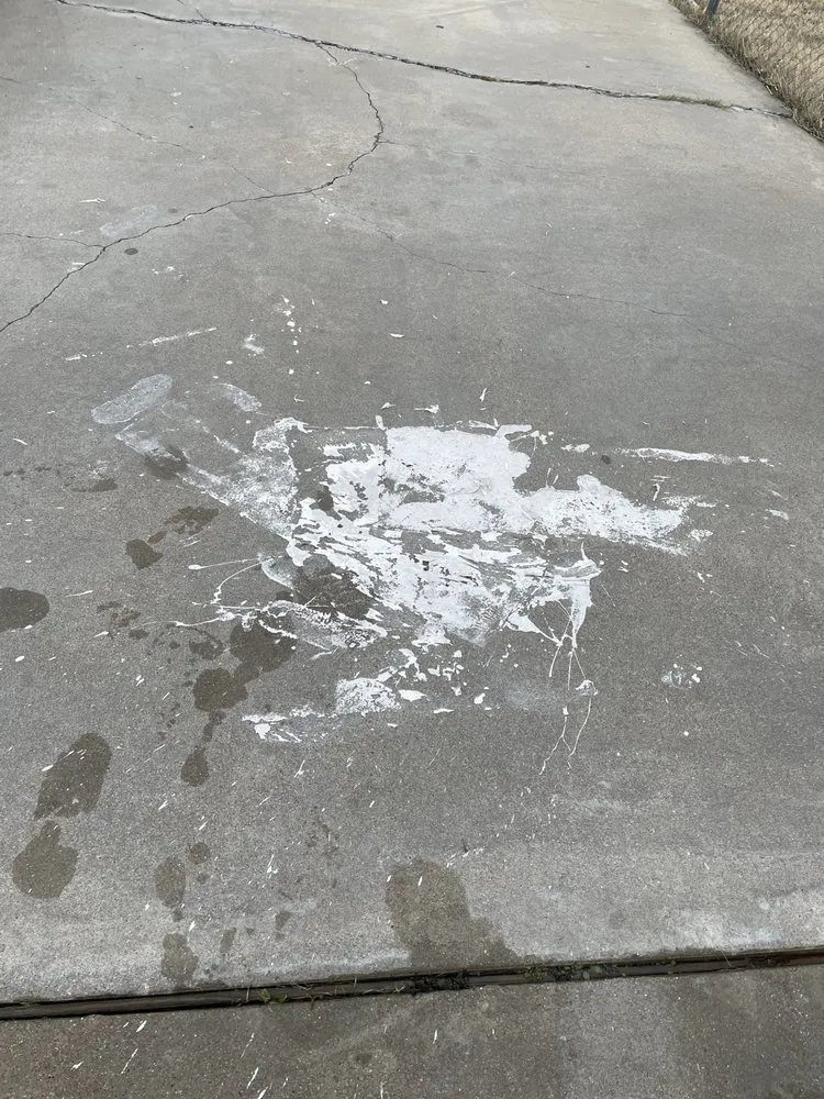 Custom landscaping services for homes in Killeen, TX by 5 Star Cuts