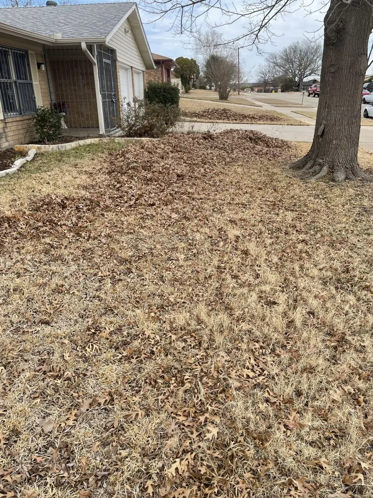 Top-rated yard cleanup service experts serving Killeen, TX - 5 Star Cuts