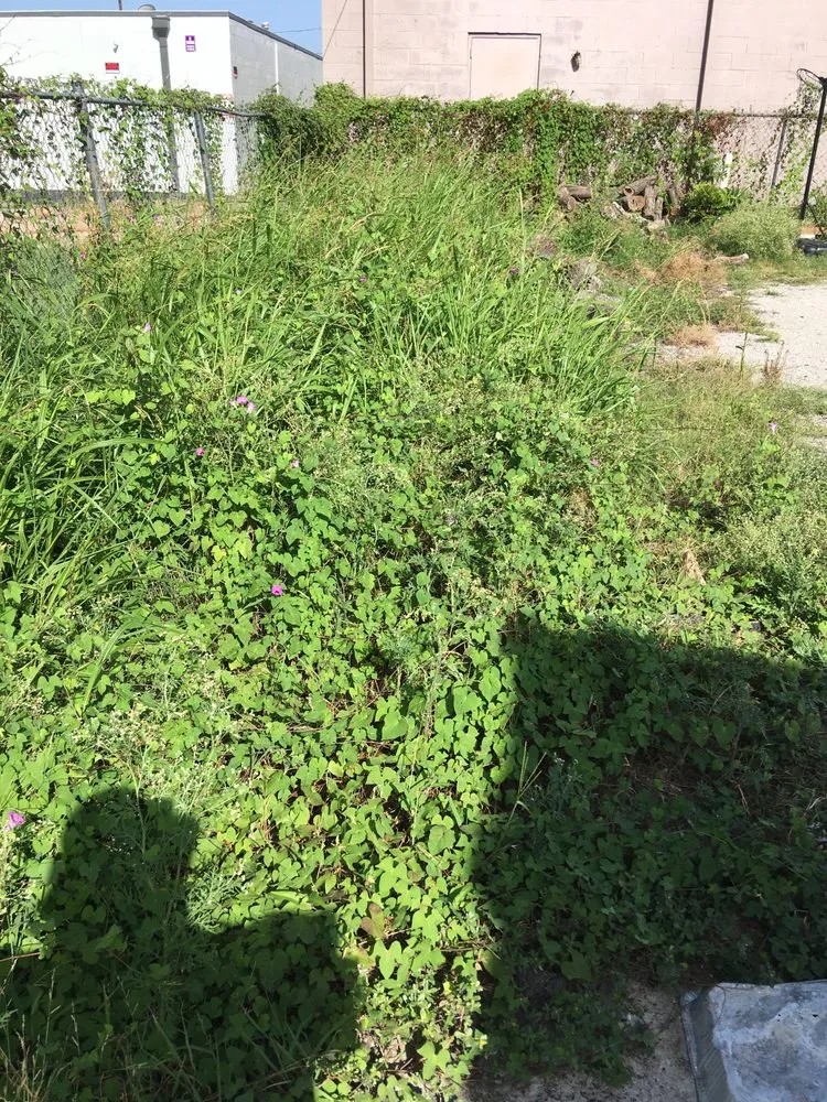 Reliable lawn mowing service experts serving Killeen, TX - 5 Star Cuts