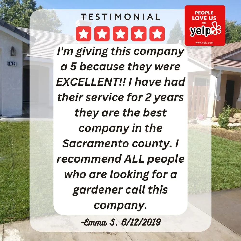 Trusted outdoor landscaping in Elk Grove, CA by 5 Star Gardening