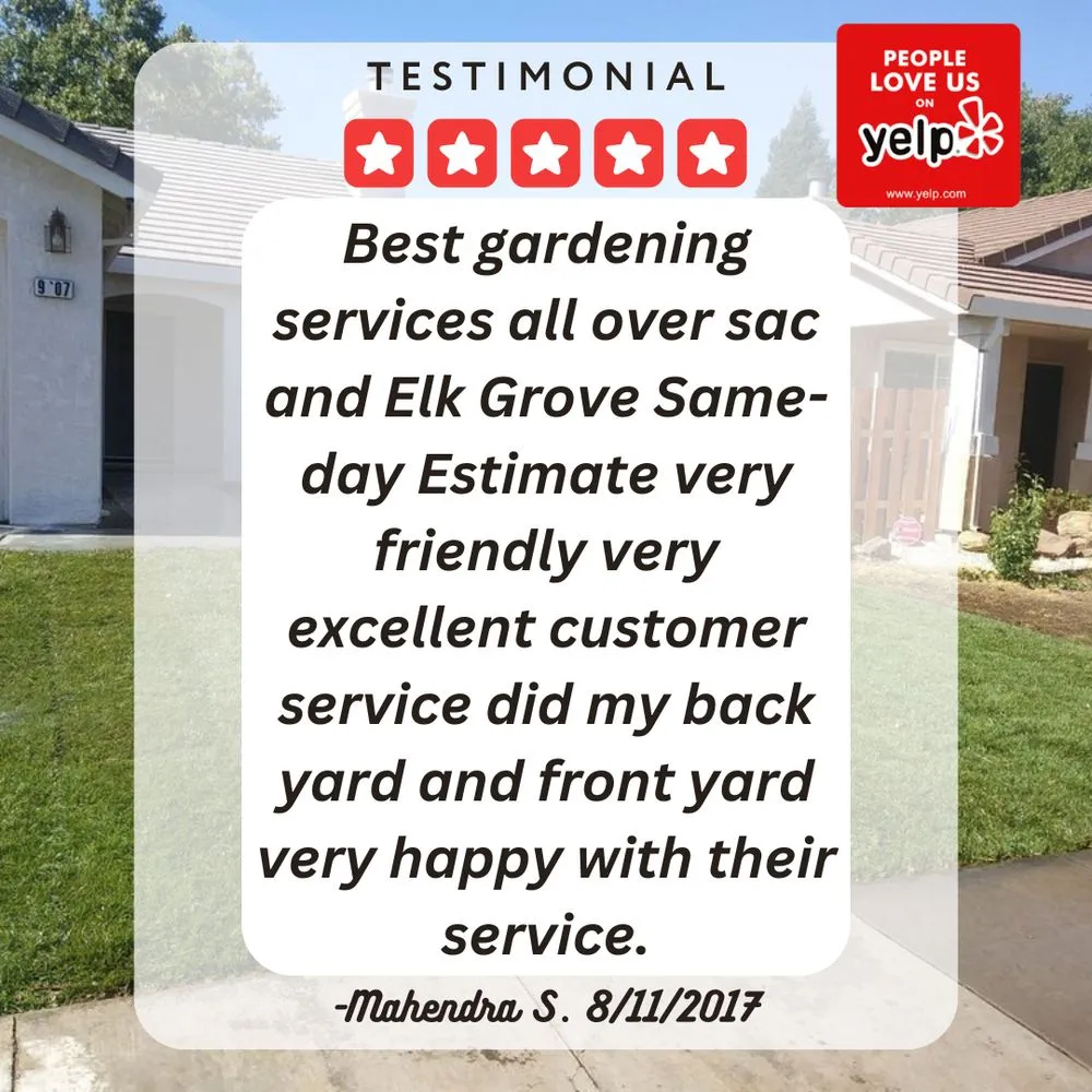 Custom yard cleanup service for residential properties across Elk Grove, CA - 5 Star Gardening