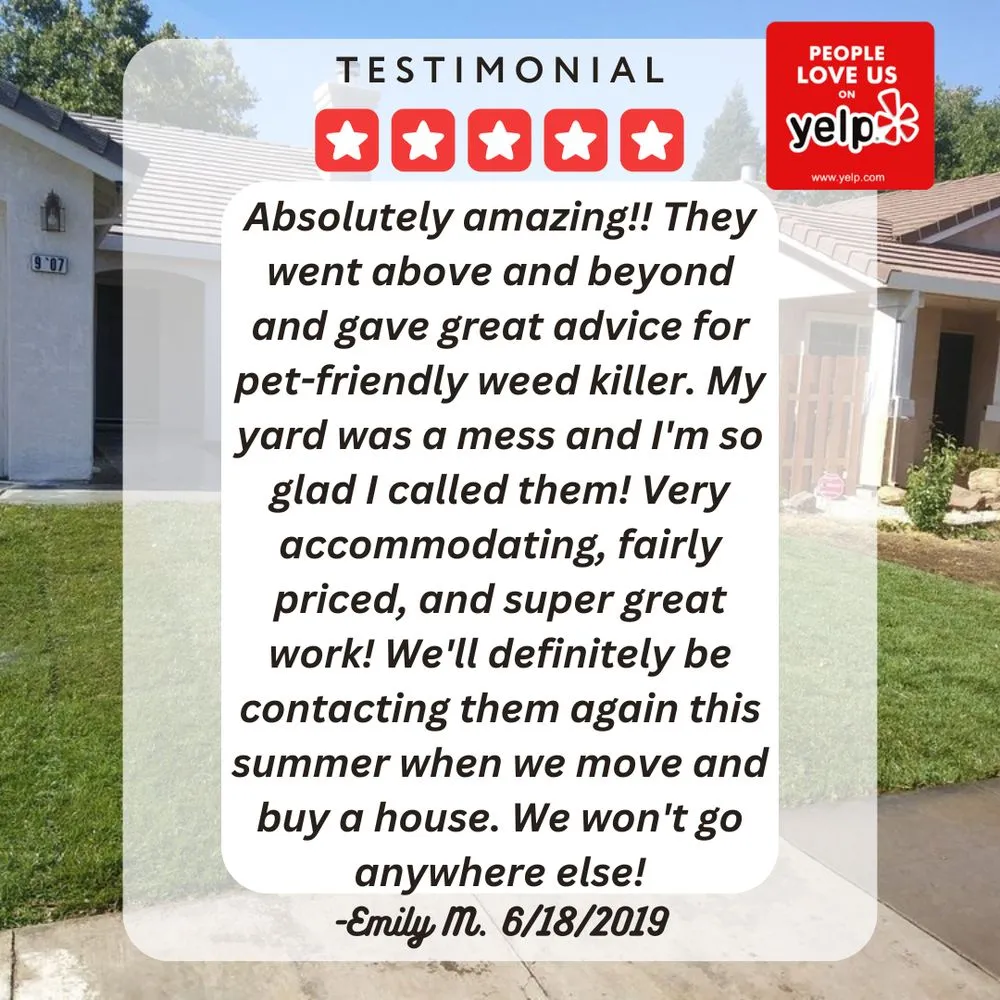 Custom residential landscaping for year-round maintenance in Elk Grove, CA by 5 Star Gardening