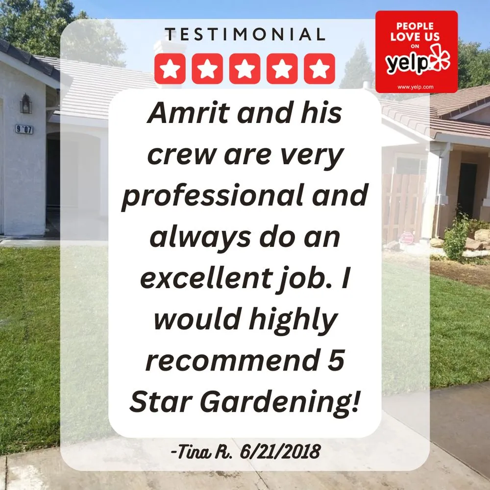 Custom lawn care service in Elk Grove, CA - 5 Star Gardening