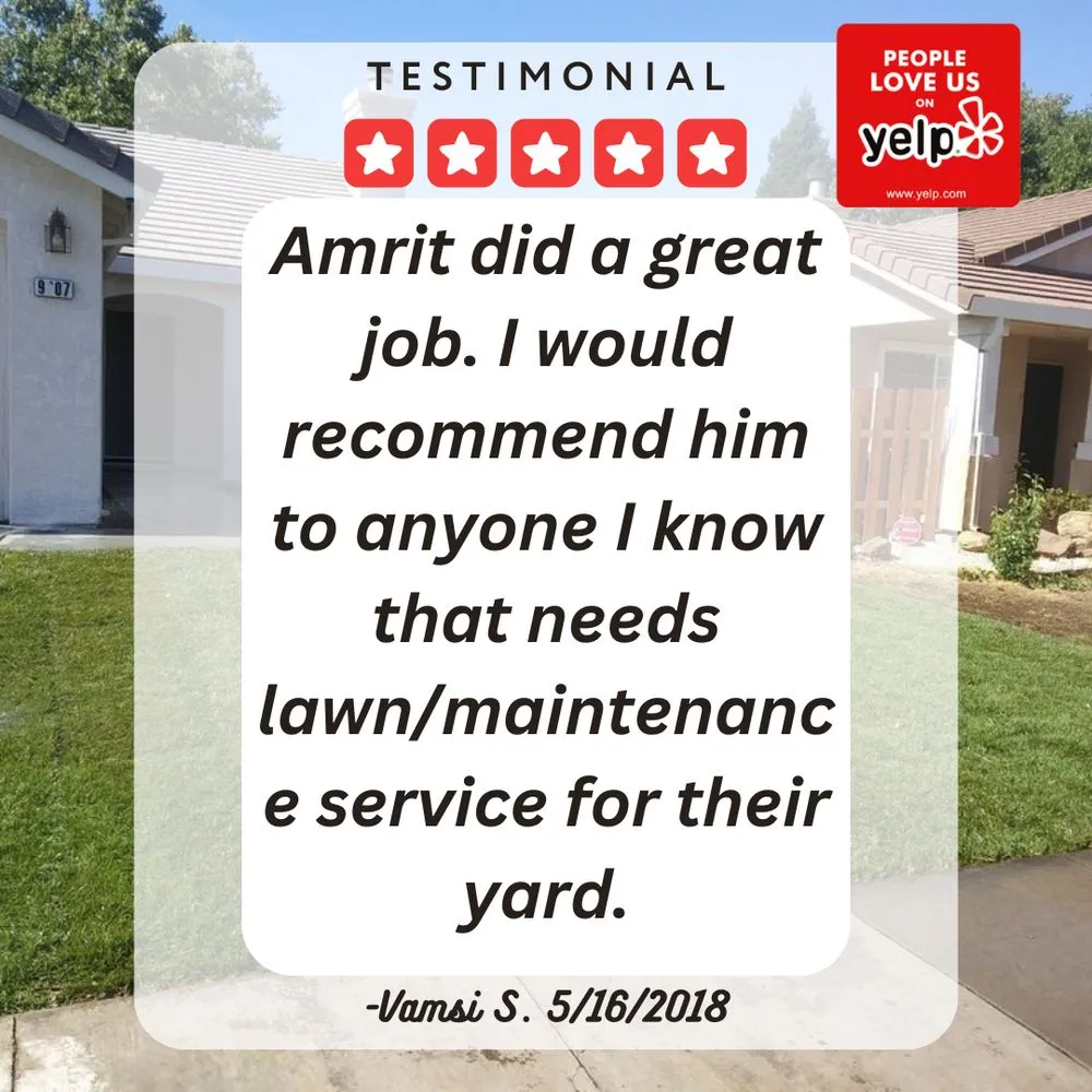 Expert yard cleanup service for year-round maintenance across Elk Grove, CA - 5 Star Gardening