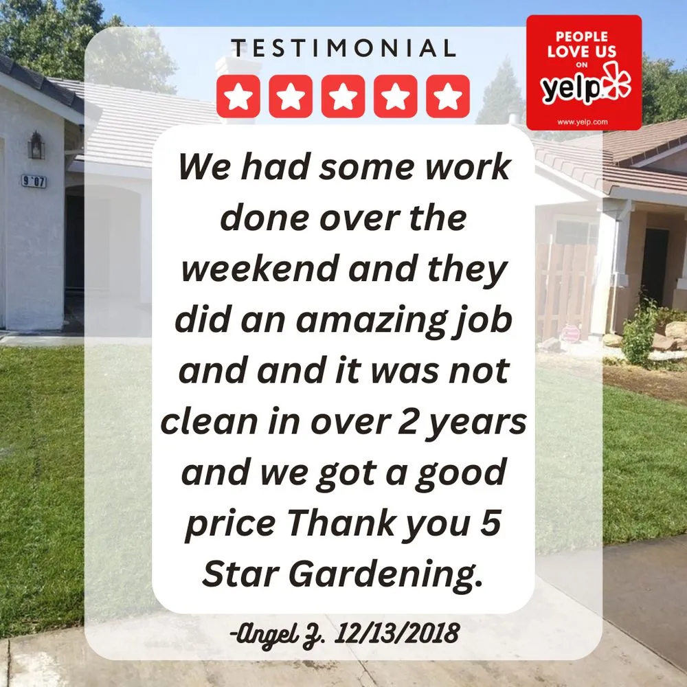 Expert yard maintenance for beautiful yards across Elk Grove, CA - 5 Star Gardening