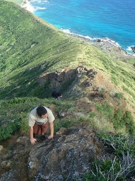 Top-rated yard maintenance near you across Elk Grove, CA - 5 Star Gardening