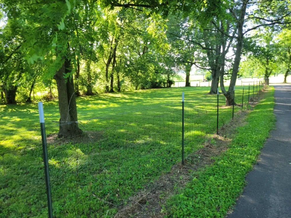 Reliable lawn care service in Edinburgh, IN by 5 Star Impressions Lawn Care