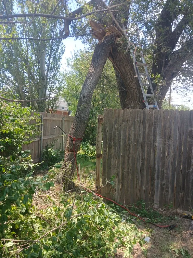 Expert landscape design for outdoor upgrades in Amarillo, TX by 5 Star Landscape