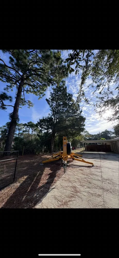 Affordable lawn care service near you across Inverness, FL - 5 Star Landscape and Tree Services