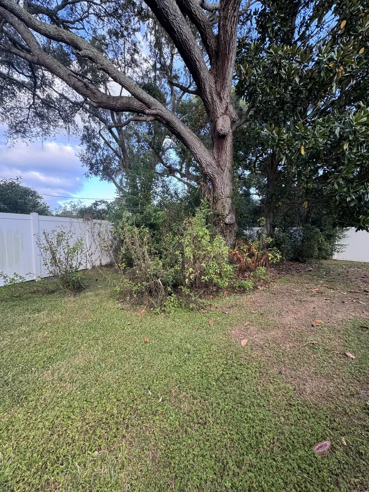 Expert landscaping services experts serving Inverness, FL - 5 Star Landscape and Tree Services