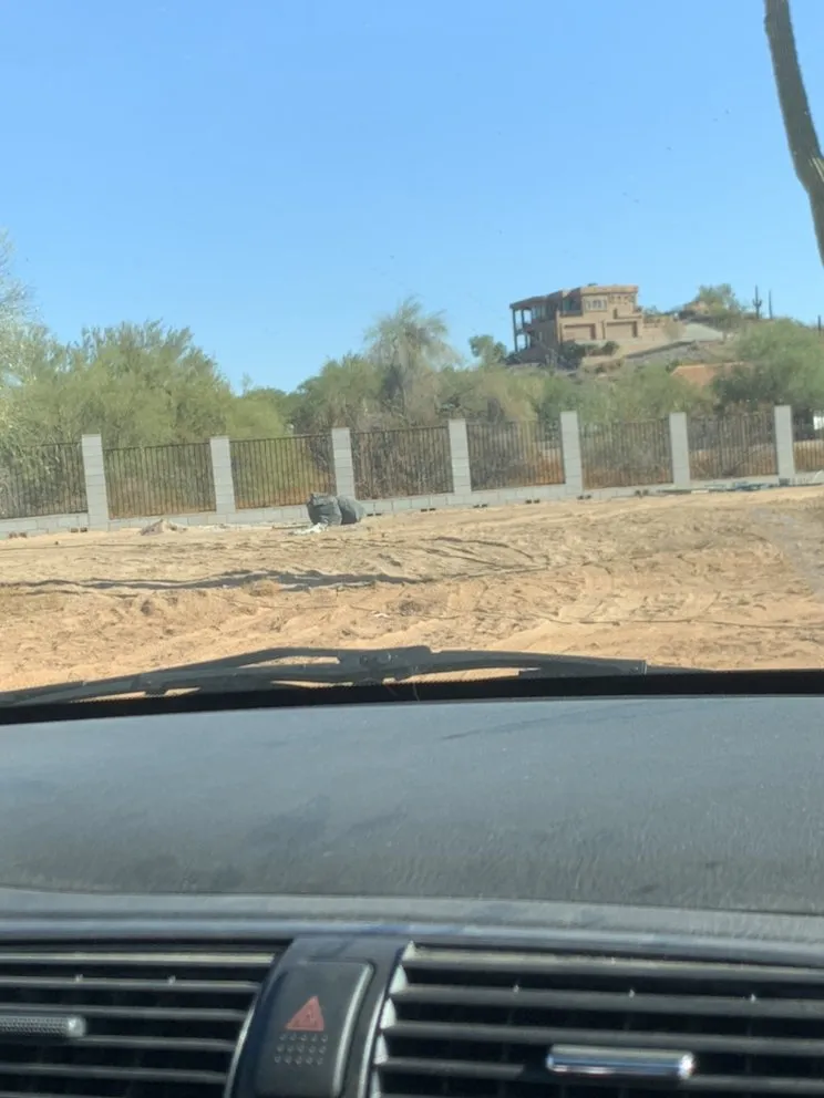 Expert landscape installation for homes across Mesa, AZ - 5 Star Landscaping And Design