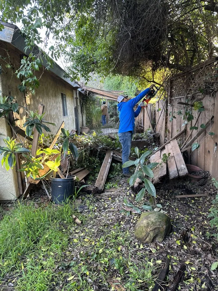 Trusted yard maintenance experts serving Port Hueneme, CA - 5 Star Landscaping and design