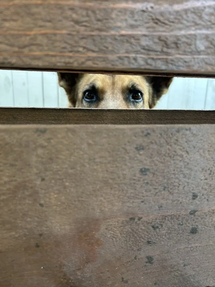 Reliable landscaping services in Port Hueneme, CA by 5 Star Landscaping and design