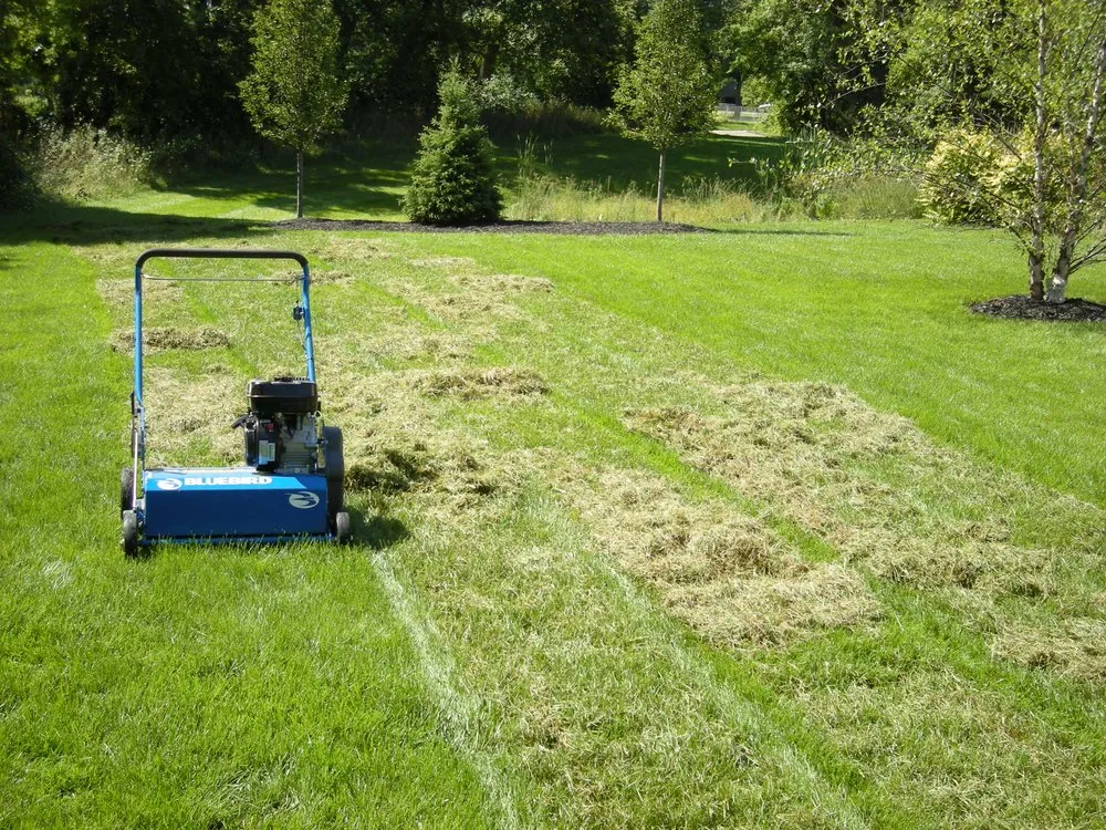 Local outdoor landscaping with custom design across Ypsilanti, MI - 5 Star Landscaping