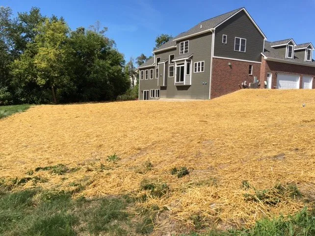 Expert landscape design in Ypsilanti, MI by 5 Star Landscaping