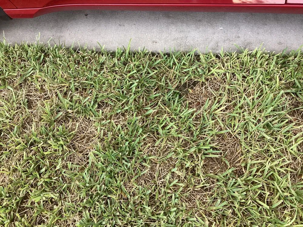 Custom outdoor landscaping in Debary, FL by 5 Star Lawn & Pest Control