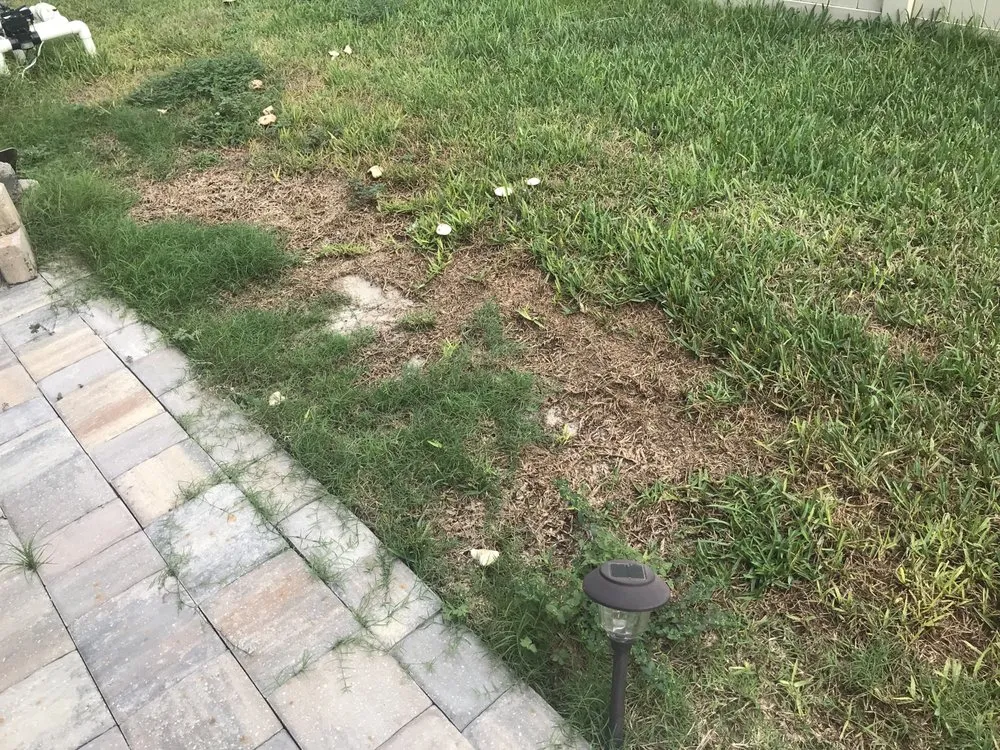 Custom landscape installation experts serving Debary, FL - 5 Star Lawn & Pest Control