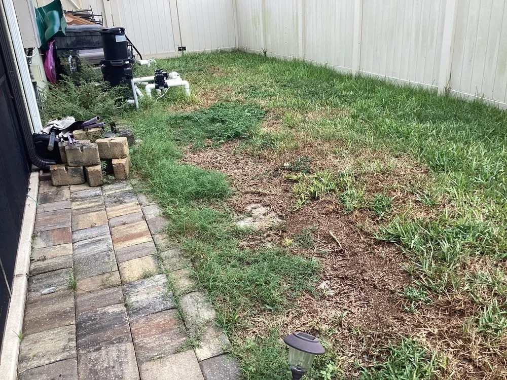 Expert outdoor landscaping in Debary, FL - 5 Star Lawn & Pest Control