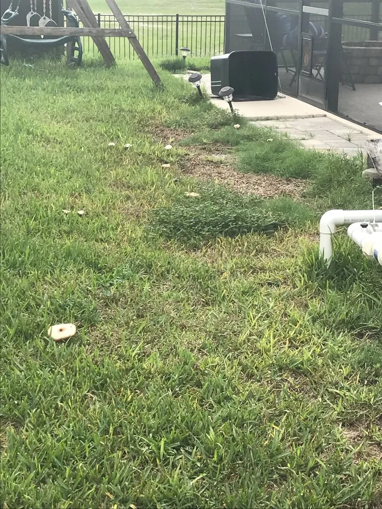 Custom outdoor landscaping for residential properties in Debary, FL by 5 Star Lawn & Pest Control