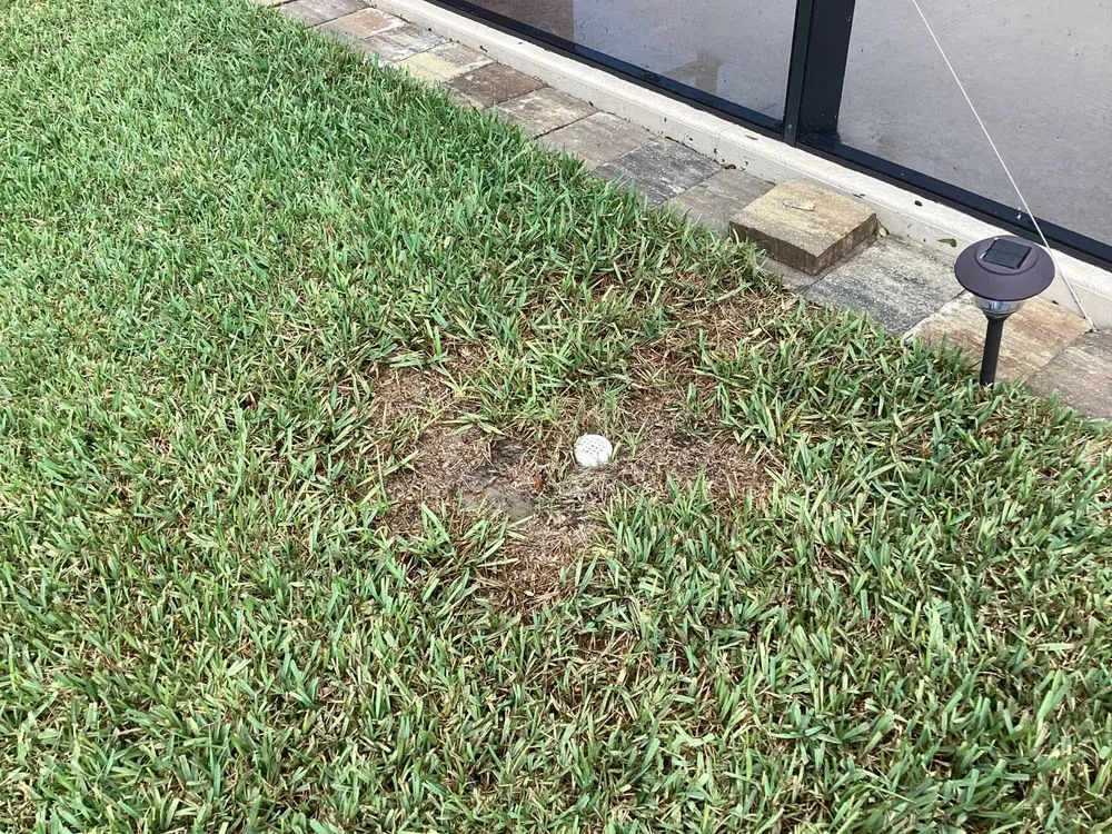 Trusted lawn mowing service near you across Debary, FL - 5 Star Lawn & Pest Control