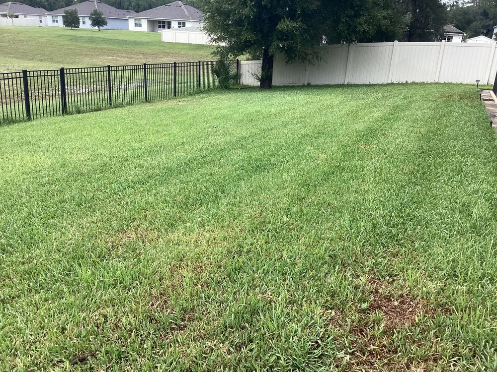 Top-rated yard cleanup service for year-round maintenance in Debary, FL by 5 Star Lawn & Pest Control