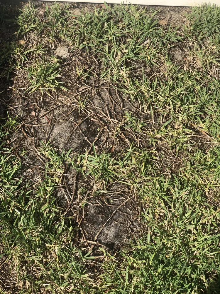 Trusted garden landscaping experts serving Debary, FL - 5 Star Lawn & Pest Control