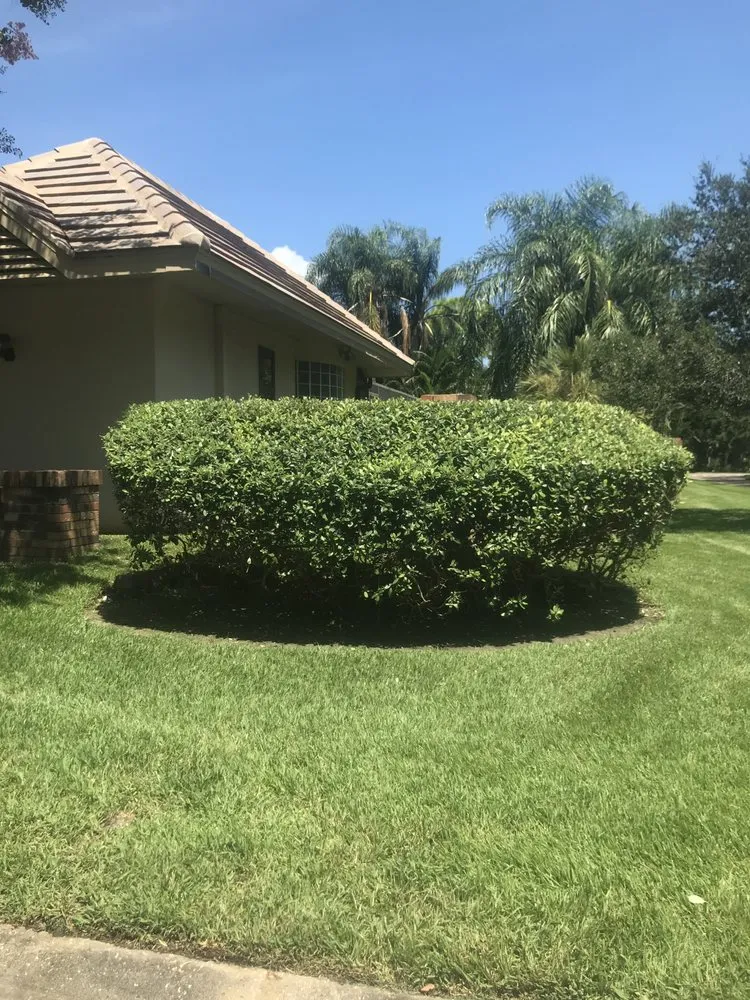 Expert landscape installation for year-round maintenance across Seminole, FL - 5 Star Lawn Care & Property Maintenance