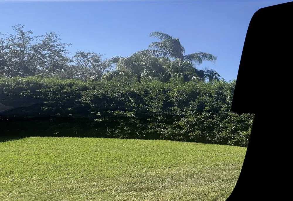 Local landscape design in Seminole, FL - 5 Star Lawn Care & Property Maintenance