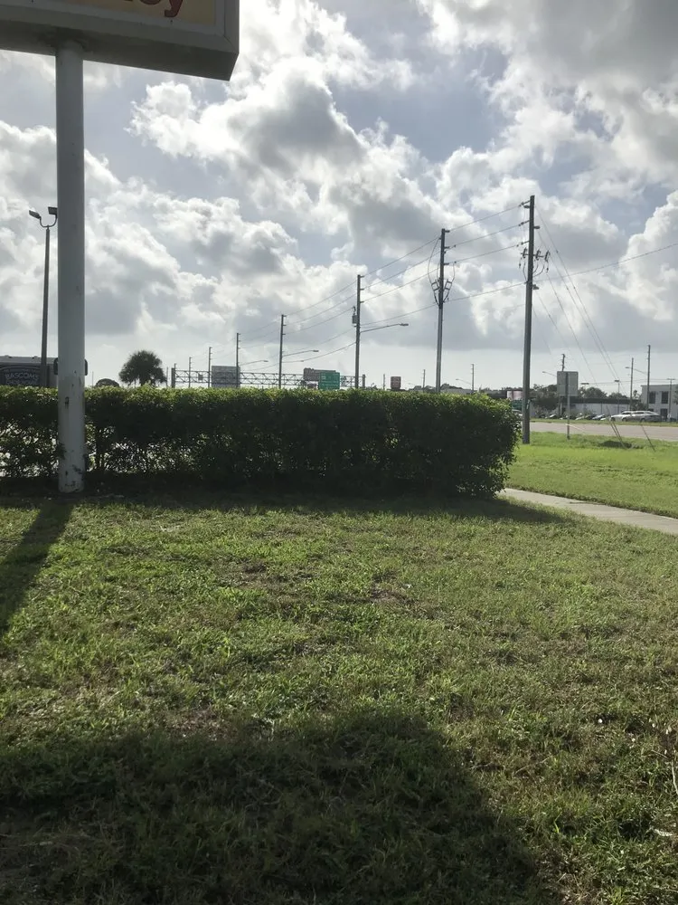 Custom landscaping services in Seminole, FL - 5 Star Lawn Care & Property Maintenance