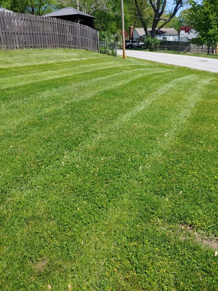 Affordable yard cleanup service for homes across Buckner, MO - 5 Star Lawn Care