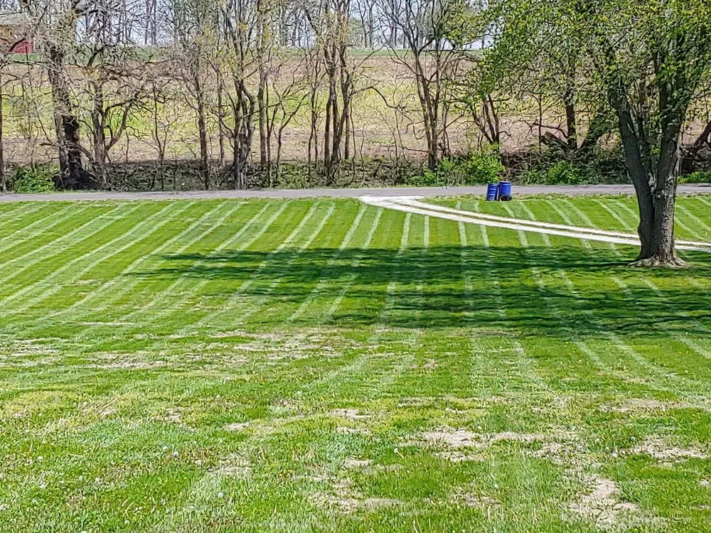 Affordable landscape design in Buckner, MO by 5 Star Lawn Care